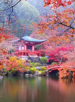 Naturaleza y Paisajes