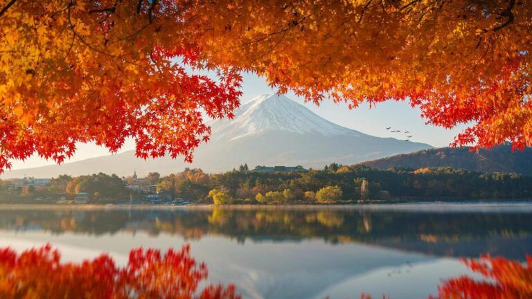 Tour Monte Fuji y su Horizonte