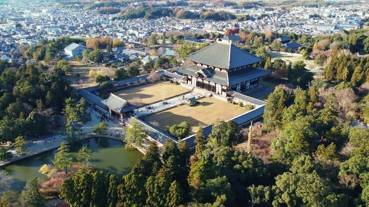 Tour Nara y su Esencia